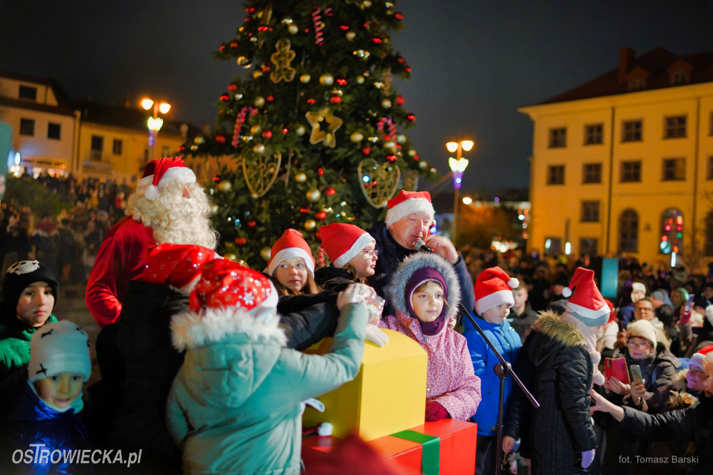 Choinka na Rynku rozświetlona!