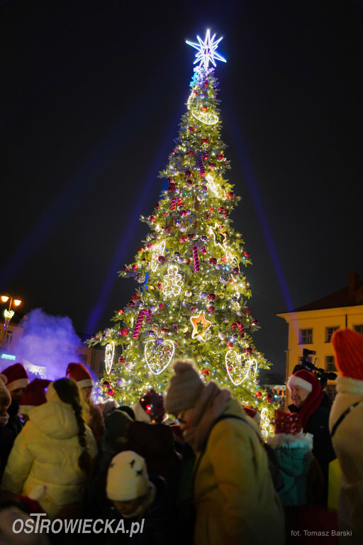 Choinka na Rynku rozświetlona!