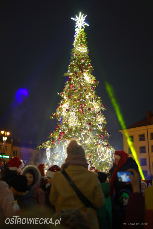 Choinka na Rynku rozświetlona!