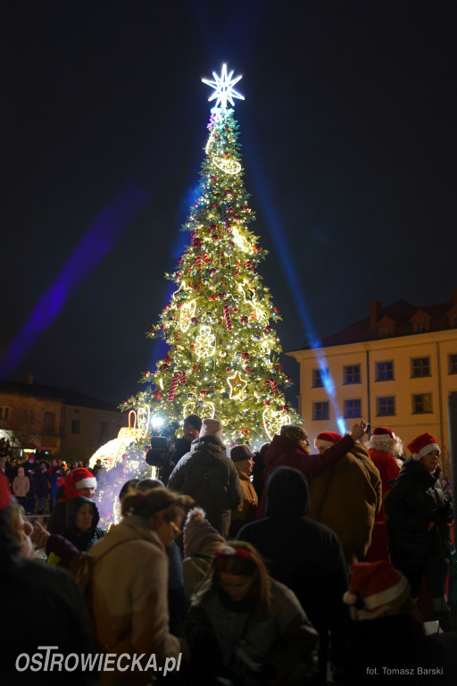 Choinka na Rynku rozświetlona!