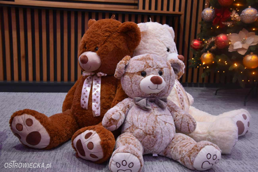 Mikołajkowa kraina pełna świątecznego blasku