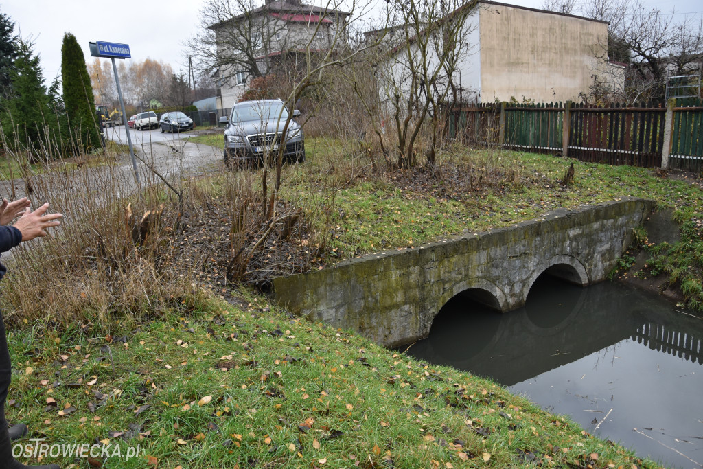 Życie bobrów w naszym mieście