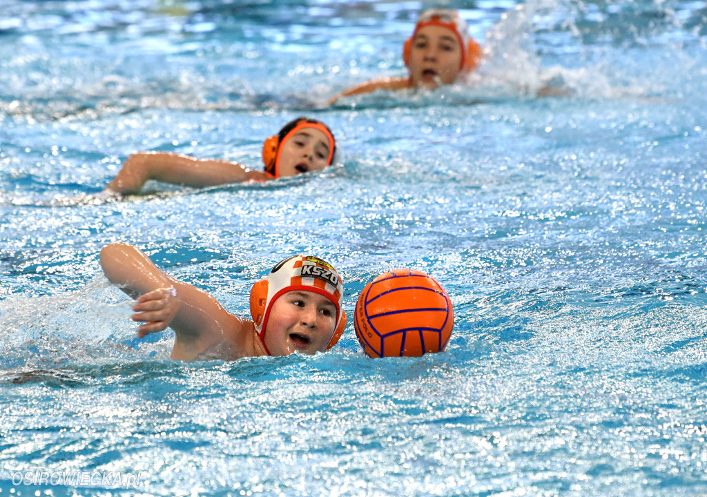 Trwają mistrzostwa młodzików w piłce wodnej