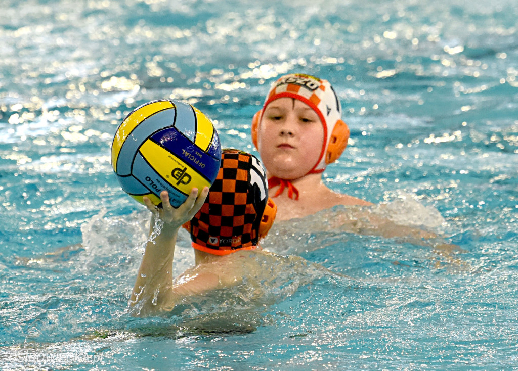 Trwają mistrzostwa młodzików w piłce wodnej