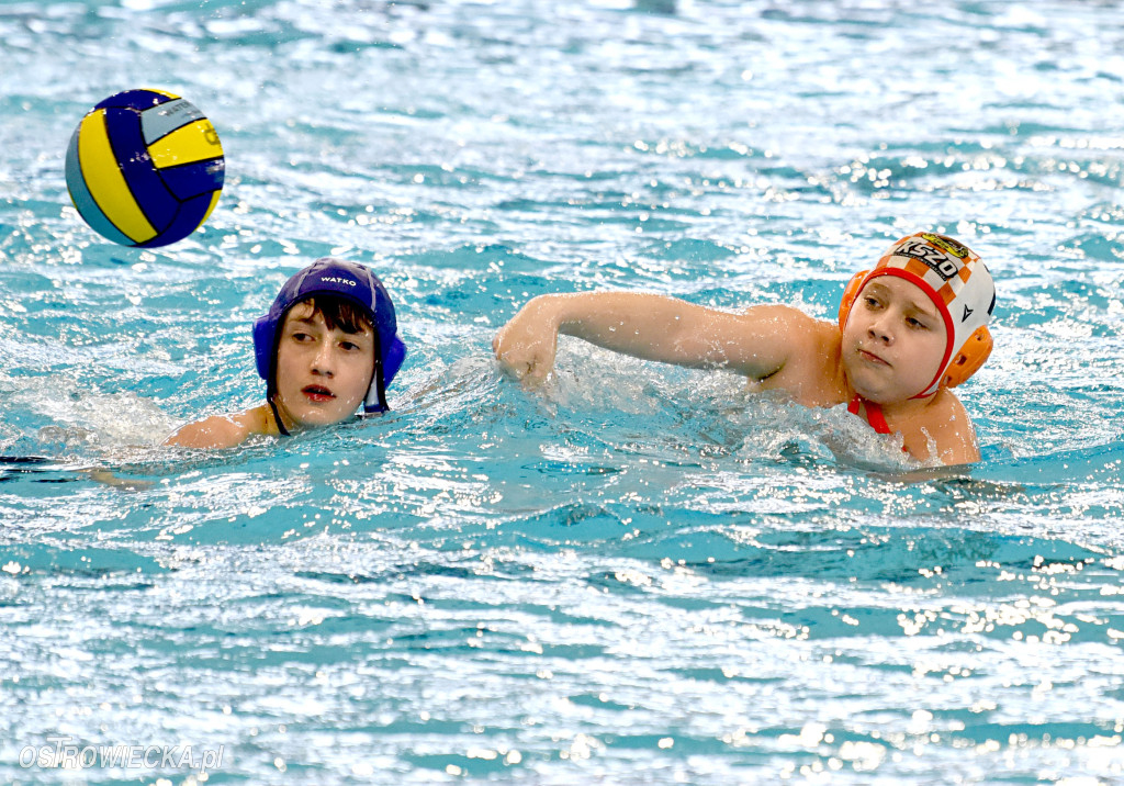 Trwają mistrzostwa młodzików w piłce wodnej