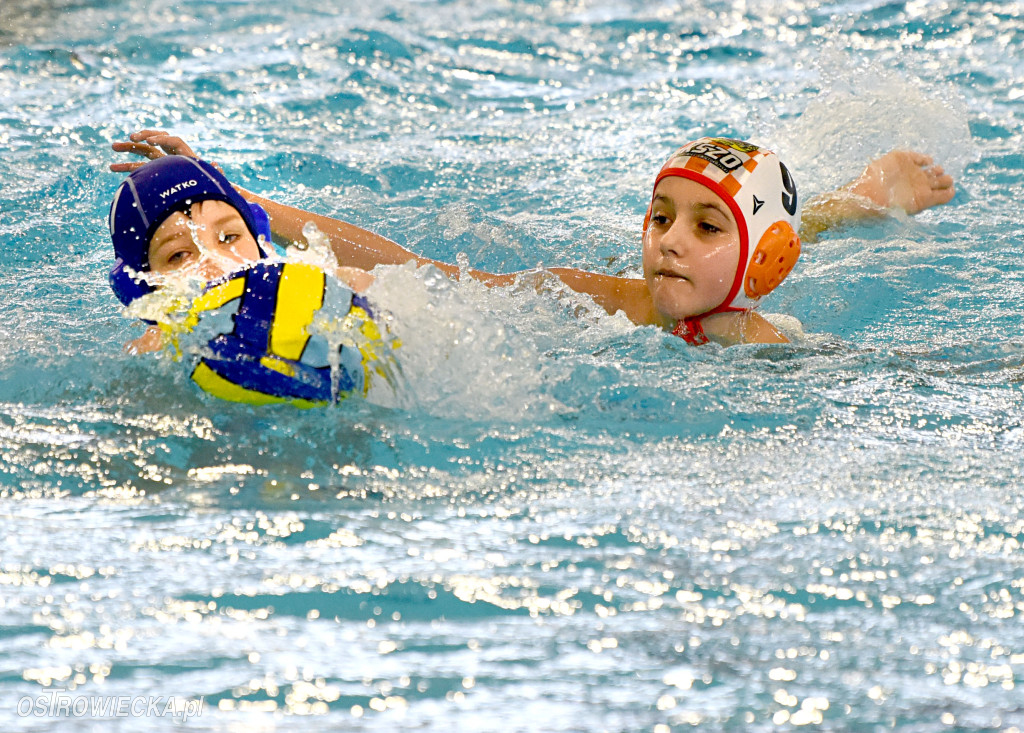 Trwają mistrzostwa młodzików w piłce wodnej