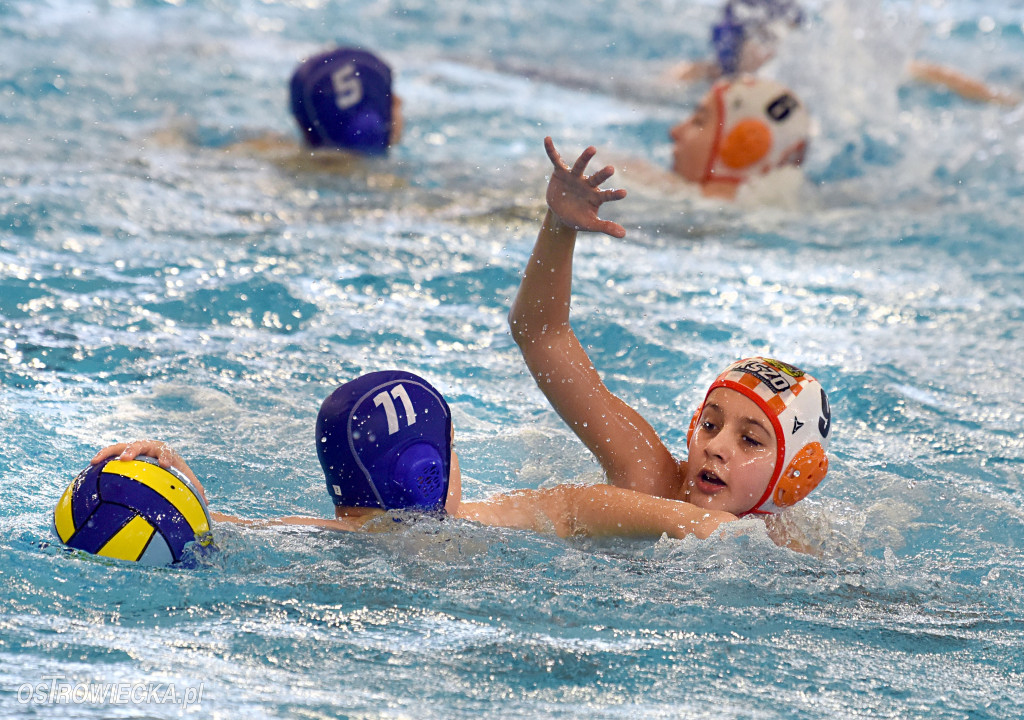 Trwają mistrzostwa młodzików w piłce wodnej