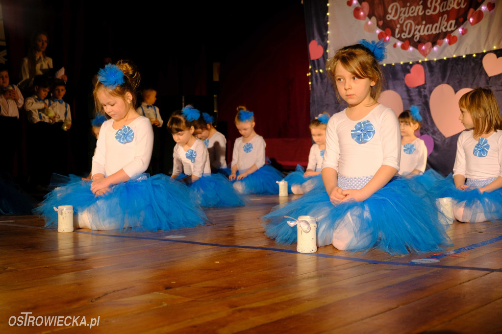 Walentynki z Babcią i Dziadkiem w PP Nr 19