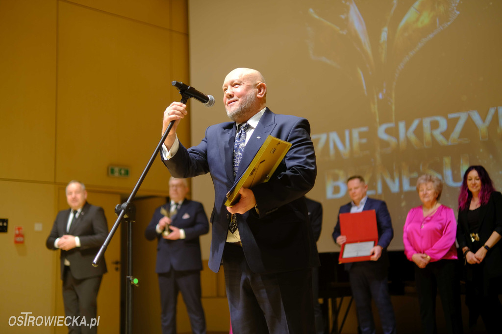 Znamy laureatów Żelaznych Skrzydeł Biznesu