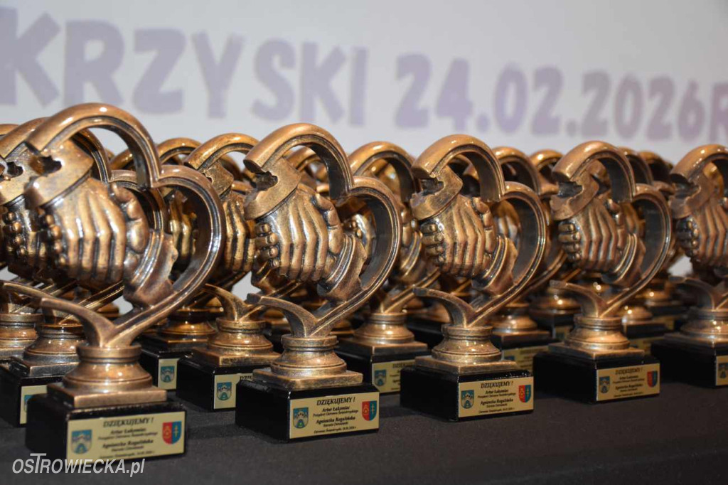 Święto Organizacji Pozarządowych