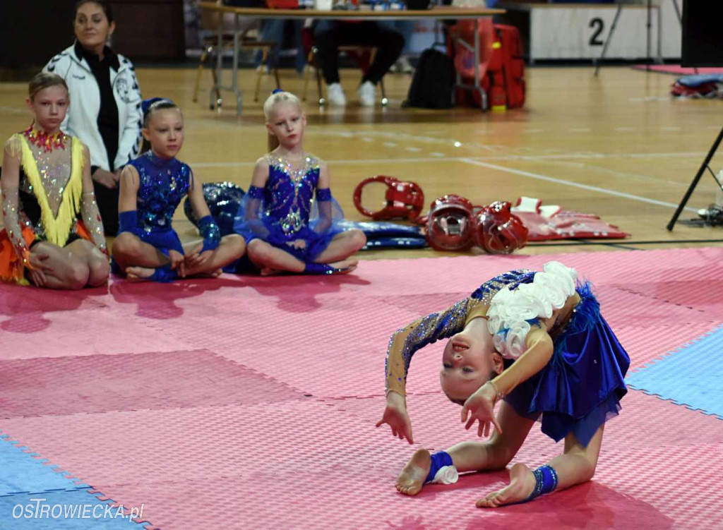Puchar Polski w Taekwondo Olimpijskim
