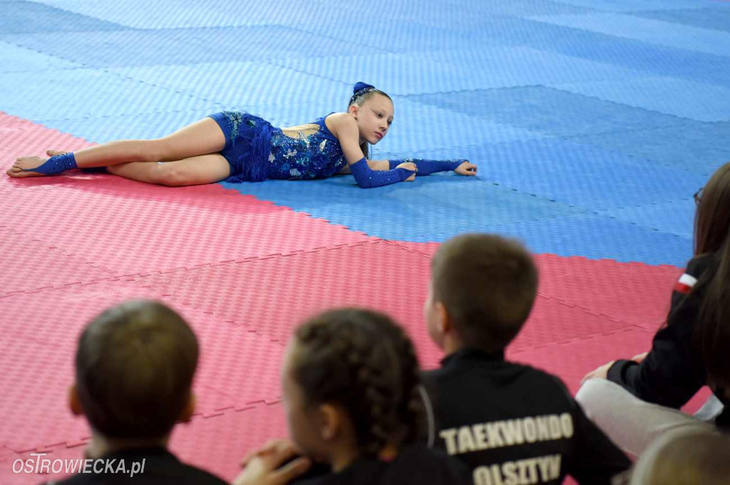 Puchar Polski w Taekwondo Olimpijskim