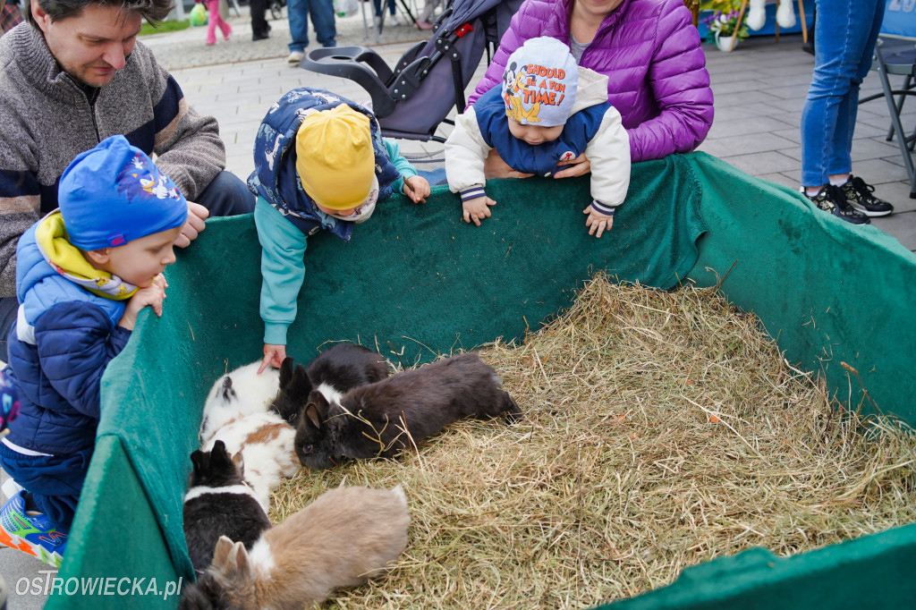 Wielkanocny Ryneczek