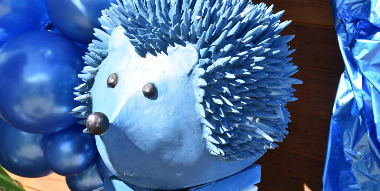 Biegali z „Niebieskim Jeżykiem”