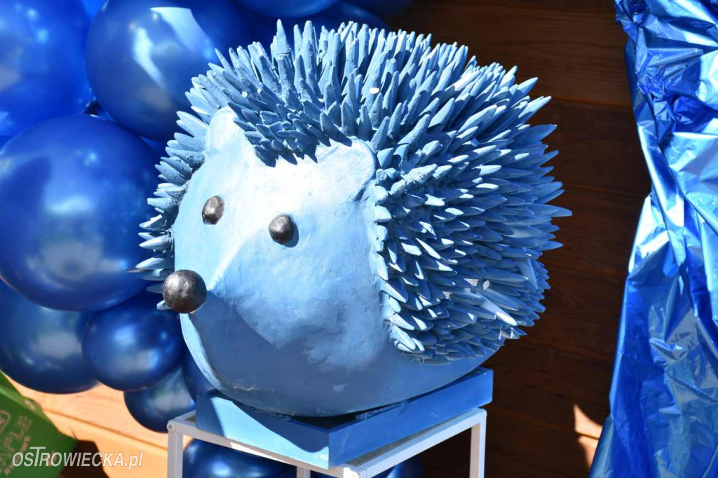 Biegali z „Niebieskim Jeżykiem”