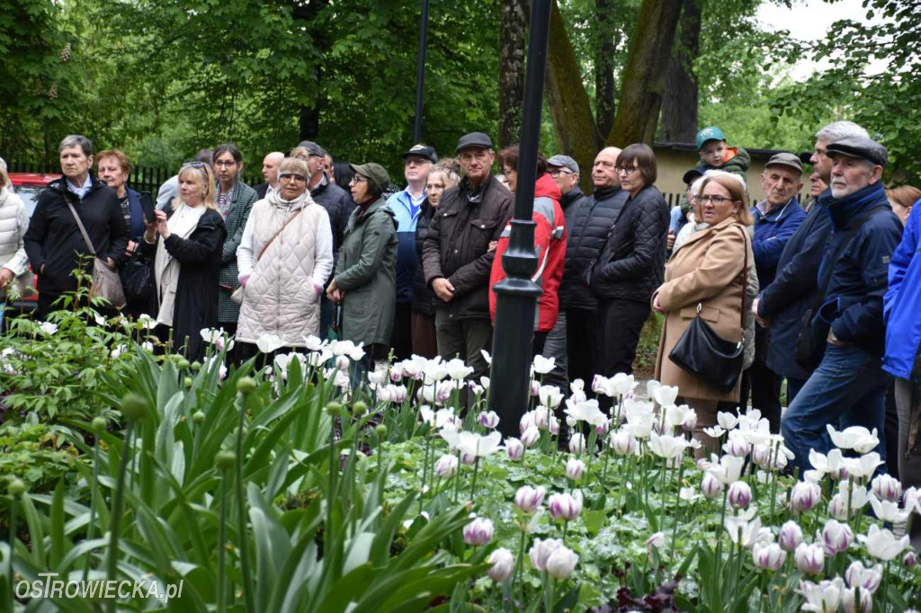 Noc muzeów w Pałacu Wielopolskich