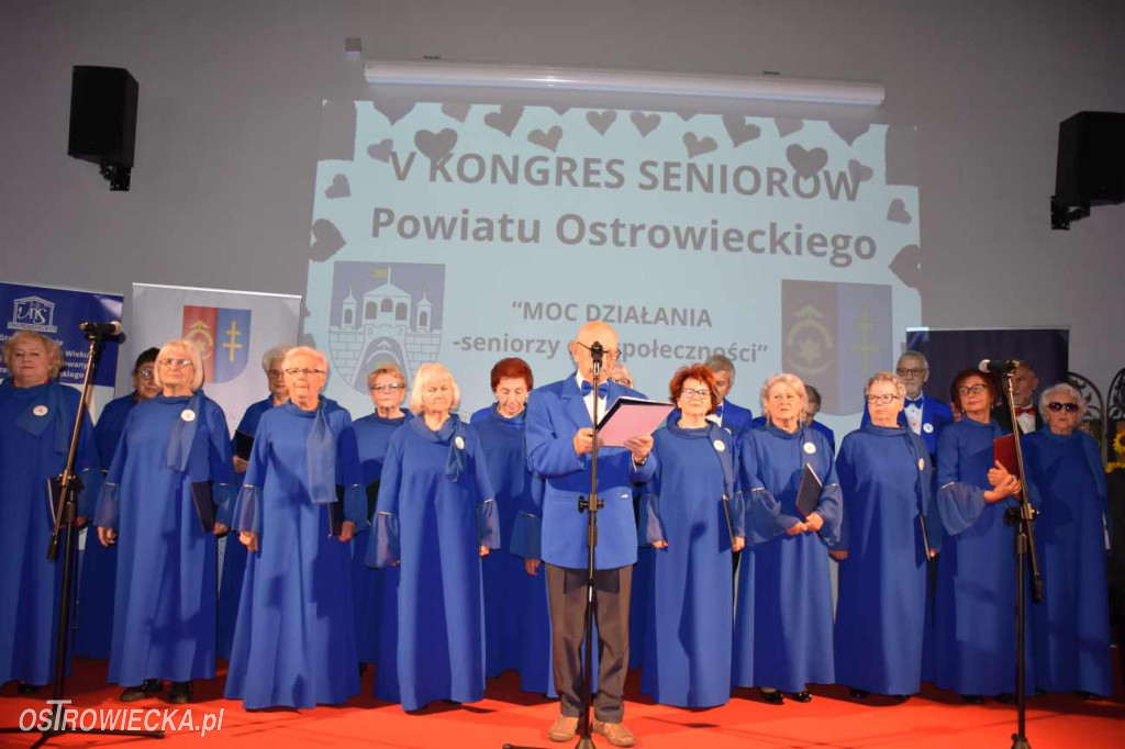 „Moc działania – Seniorzy dla społeczności”