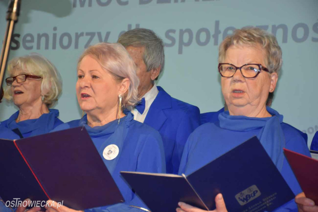 „Moc działania – Seniorzy dla społeczności”