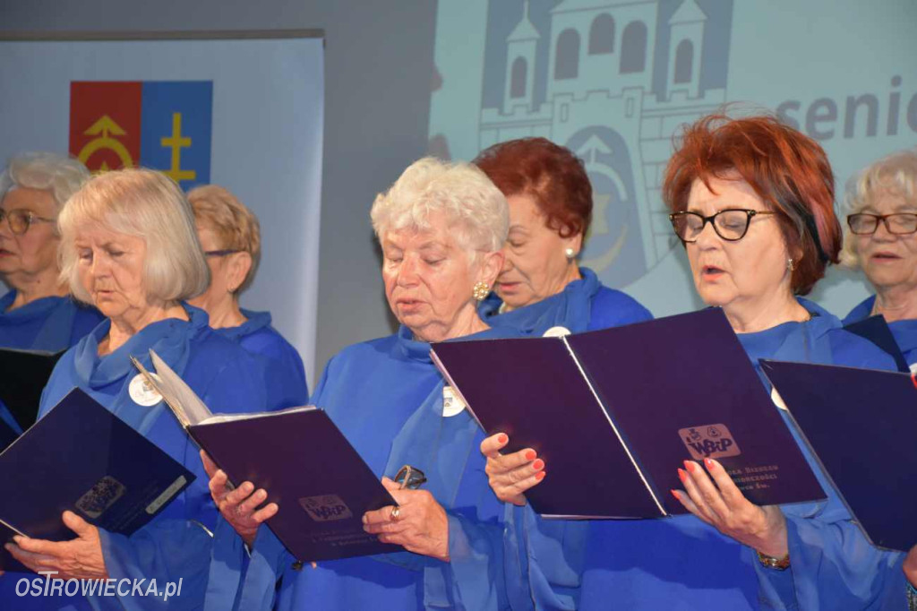 „Moc działania – Seniorzy dla społeczności”