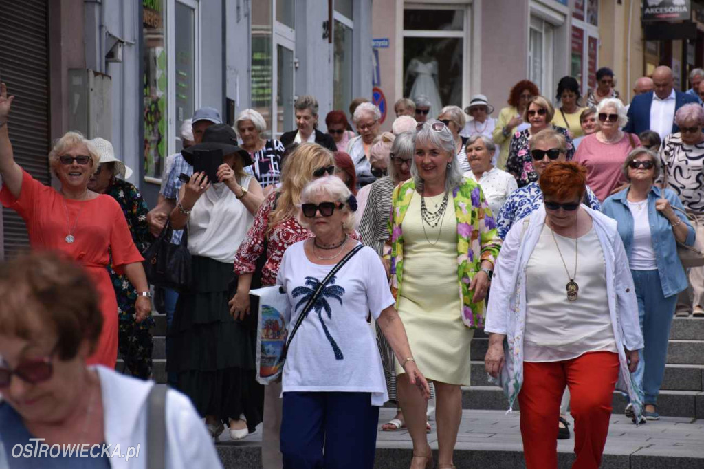 XII Ostrowieckie Senioralia