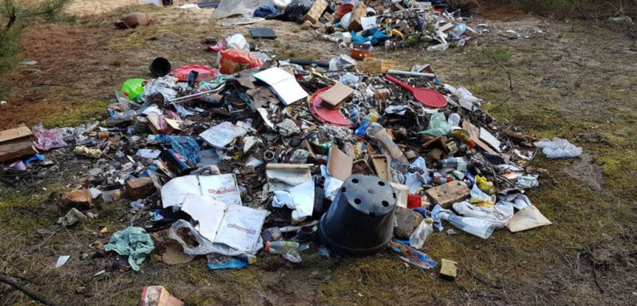 Śmietnik w lesie (zdjęcia)