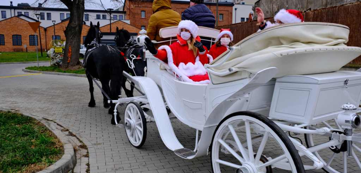Święty Mikołaj w Ostrowcu Świętokrzyskim (zdjęcia, wideo). Zaprzęg konny z białą k