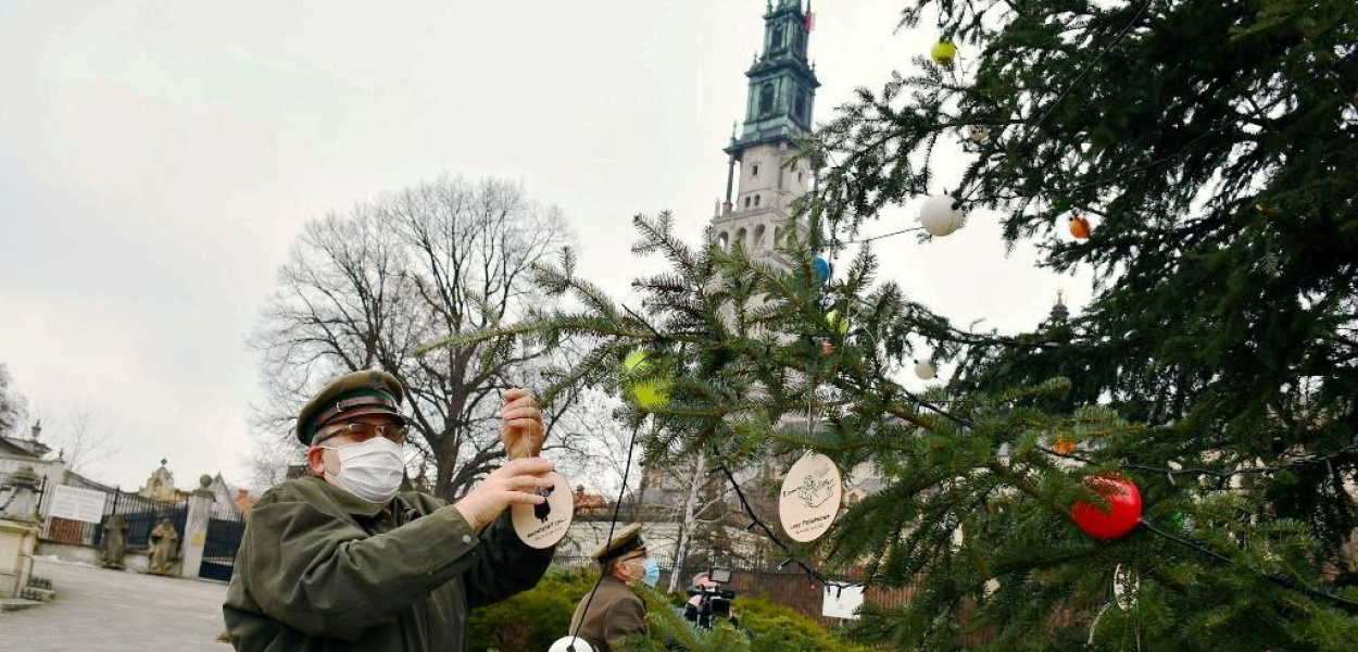 Choinki od leśników na Jasnej Górze, w Łazienkach Królewskich, na rynkach miast (z