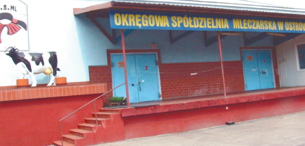 Mlekovita o przejęciu Okręgowej Spółdzielni Mleczarskiej w Ostrowcu Świętokrzyskim