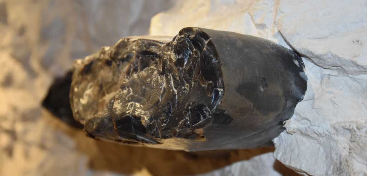 2022 Rokiem Krzemionkowskim