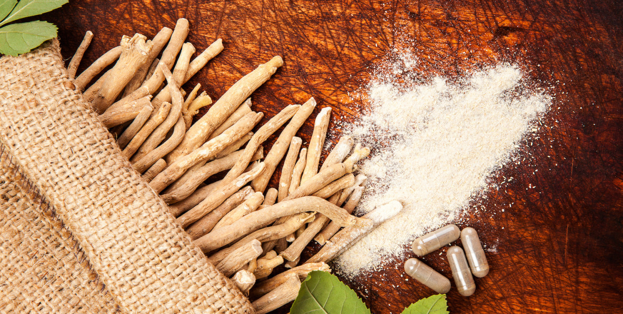 Ashwagandha - czym jest, na co pomaga, suplementacja
