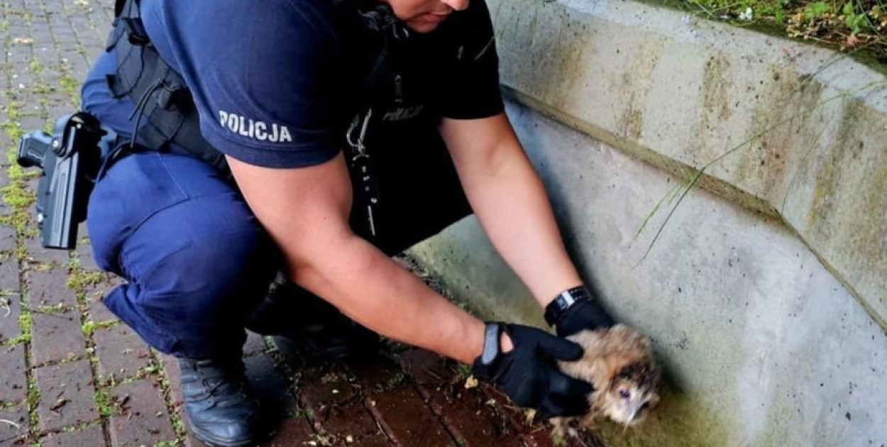 fot. policja