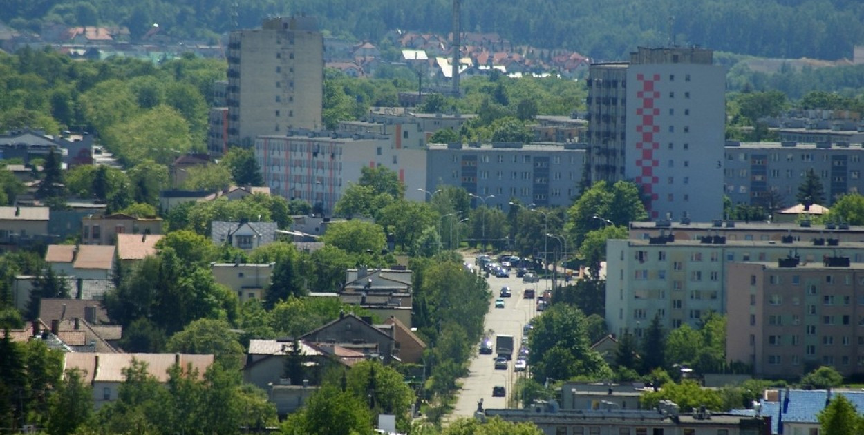 Fot. Materiały promocyjne partnera
