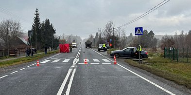 14-latka zginęła na oznakowanym przejściu dla pieszych-155513