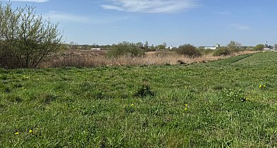 Park handlowy bez pozwolenia. Po raz drugi-158037