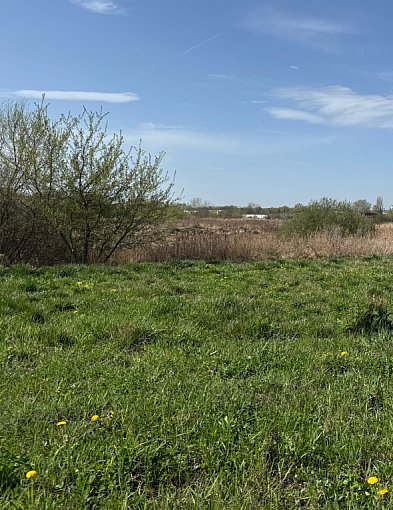 Park handlowy bez pozwolenia. Po raz drugi-158037