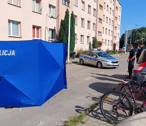 Przeprosiny nie zostały przyjęte. Horror na osiedlu Ogrody-158337