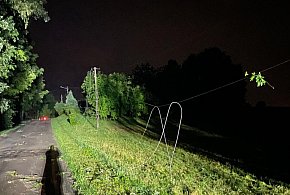 Powalone drzewa, uszkodzone dachy-158772