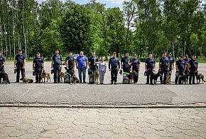 Ostrowiecki pies policyjny MEM na podium-158975