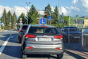 Egzamin na prawo jazdy będzie inny. Od 1 lipca nowe zasady-159080
