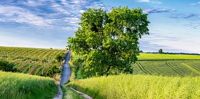 Świętokrzyskie gospodarstwa agroturystyczne zapraszają na wakacje! Co oferują?-159627