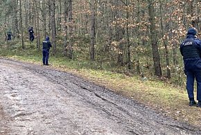 Grzybiarz stracił orientację w lesie-159740