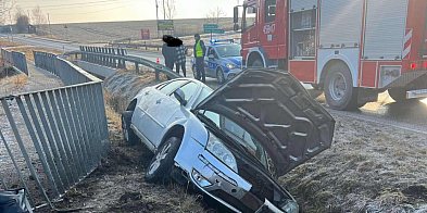 Chmara drobiu, czarny kot i jazda pod prąd-159848