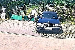 Senior okazał się wandalem-160045