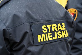 Zapuka strażnik, zapłacisz karę. Ruszyły kontrole w całej Polsce-161094