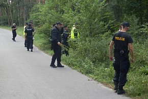 Zagubił się w lesie-162345