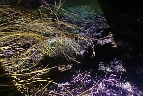 Nie żyje 82-latka, która wpadła do dreny z wodą