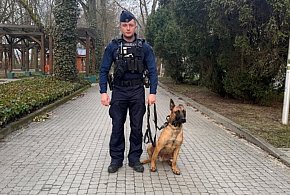 Pieski w ostrowieckiej komendzie