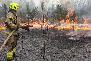 Płonął las w Kopcu
