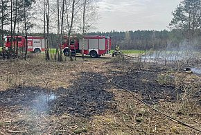 Strażacy gasili pożar lasu