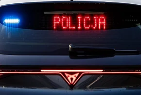 Piesza potrącona na pasach